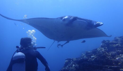 ウネリが残りますが(ﾟ∀ﾟ)