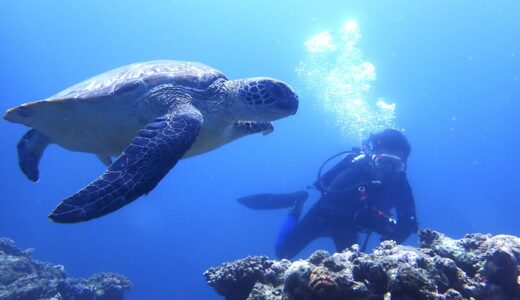 夏始まってます^ – ^