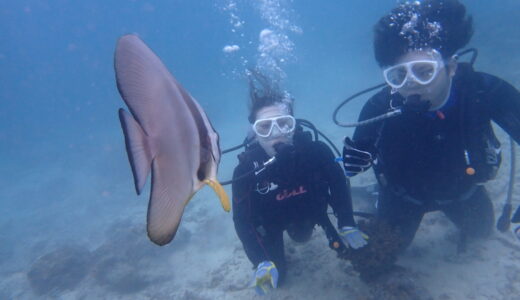 10月、雨が続く