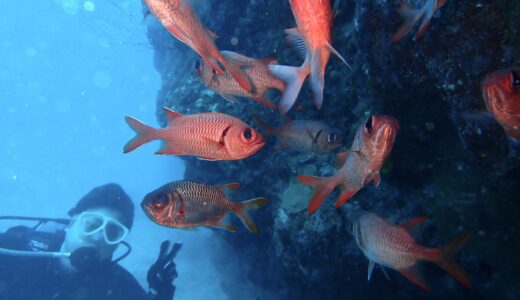 穏やかなポイントへ