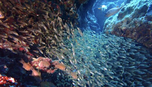 久しぶりの晴天！