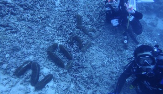 明けまして^ – ^