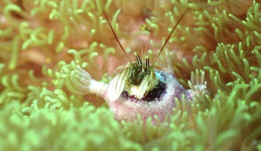 嬉しい晴れ間^ – ^