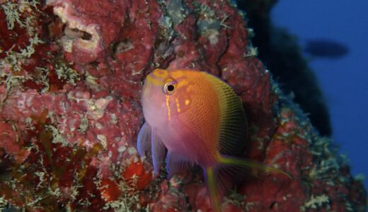 海況良くなってきたぁー！