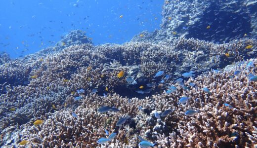 今日も撮影日和^ – ^