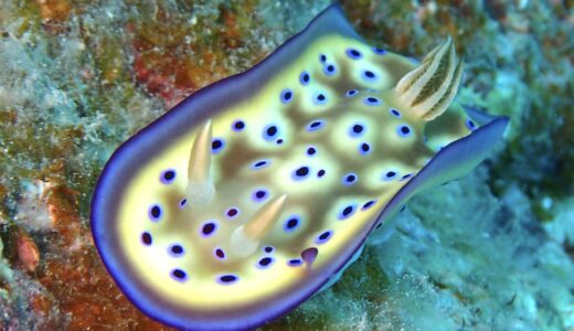 賑やかに楽しんできました！