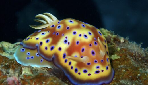 嵐が過ぎ去り快晴