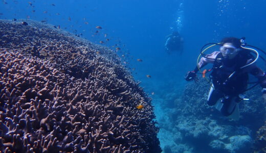 天気良くなってきたー！