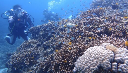 久しぶりのアタックです^ – ^