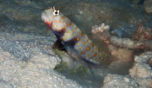 ピーカンからの、、、(ﾟ∀ﾟ)