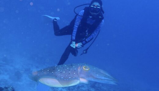 春のマクロスタート！