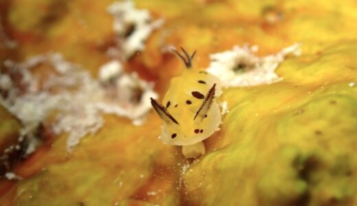 水温上がってきたか？