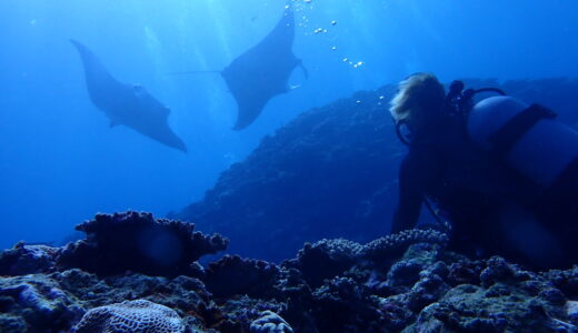 朝イチアタック^ – ^