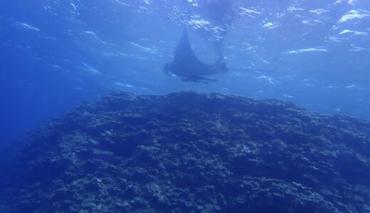 こんな所でお会い出来るとは^ – ^