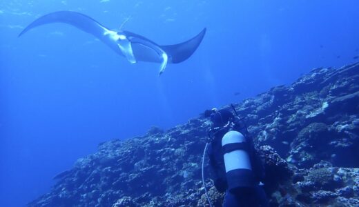 リクエストの旅