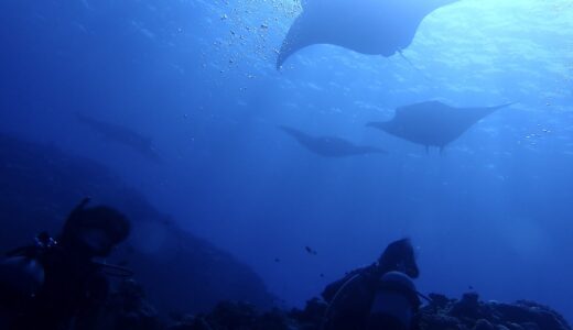 絶好調過ぎて、、、^ – ^