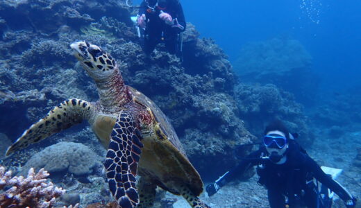 北風よそろそろ穏やかに、、、