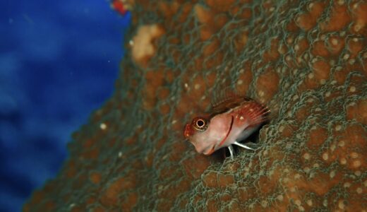 ダブルヘッダーな1日